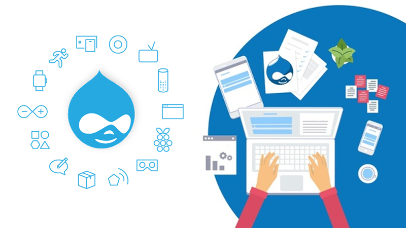 Why Use Drupal_