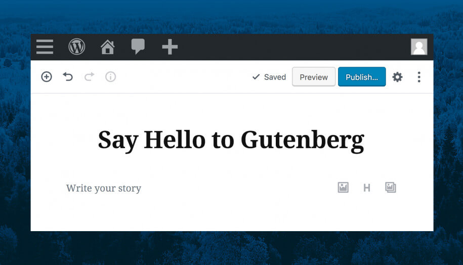 Reasons Why Gutenberg Should Be Embraced - cmsMinds