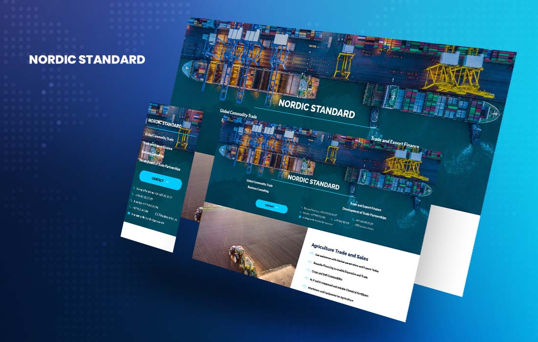 Nordic Standard Group - cmsMinds Portfolio