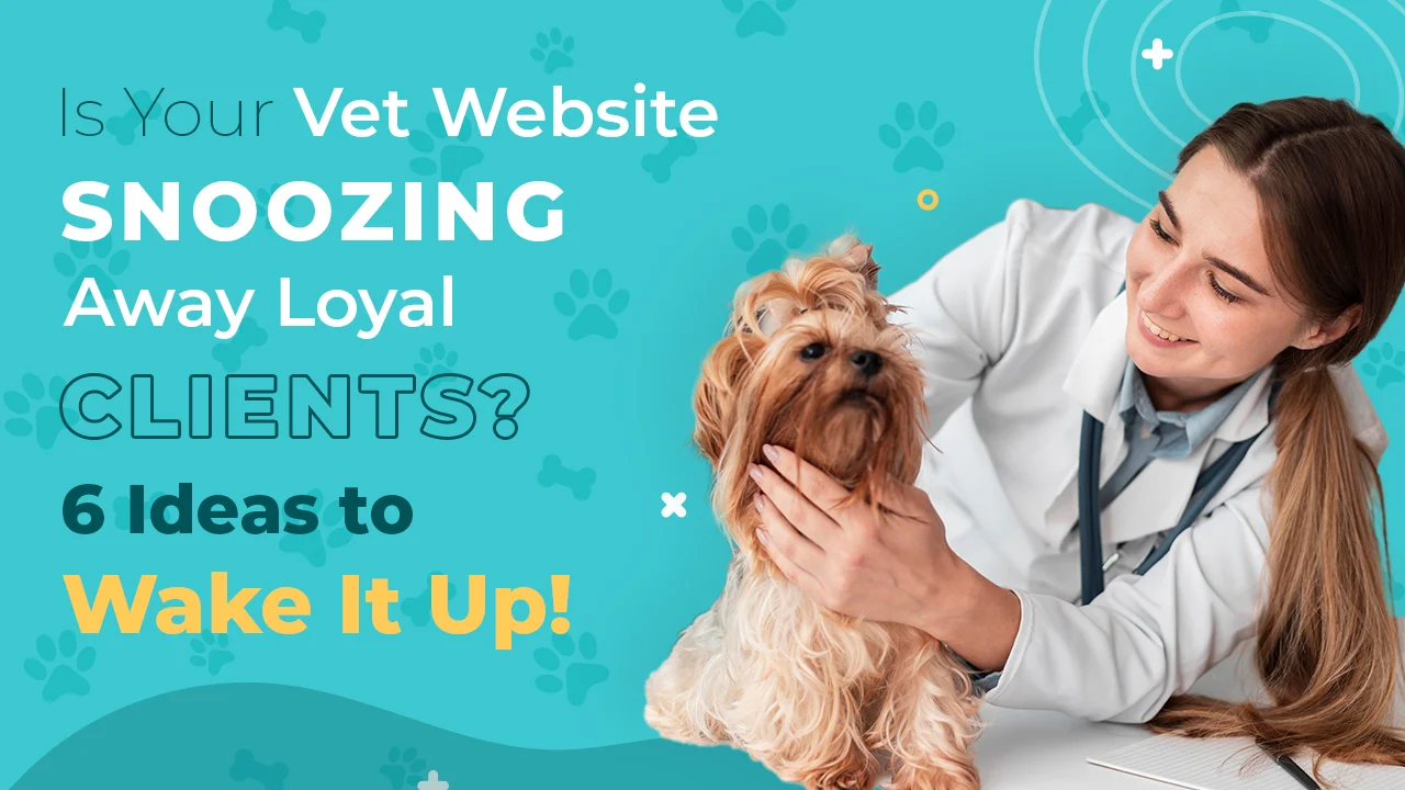 Is_Your_Vet_Website_Snoozing_Away_Loyal_Clients_6_Ideas_to_Wake_It_Up